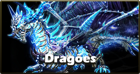 Dragon Awaken